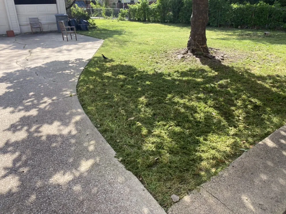 Local lawn mowing service in Dallas, TX - Buffalo Lawn Care