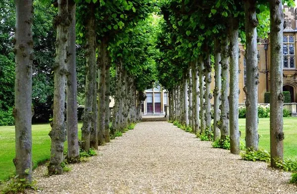 Buffalo NY Landscaping Logo