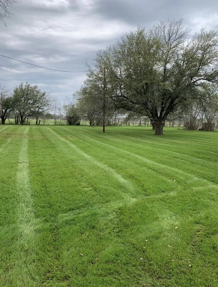 Custom yard maintenance experts serving Crandall, TX - Buffalo Plains Lawn Care