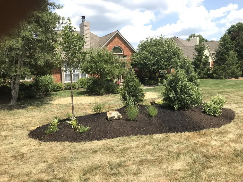 Professional lawn care service for year-round maintenance across Cincinnati, OH - Buffalo Scapes