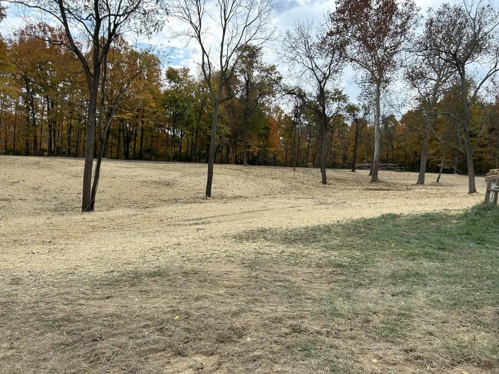 Trusted landscape installation experts serving Cincinnati, OH - Buffalo Scapes