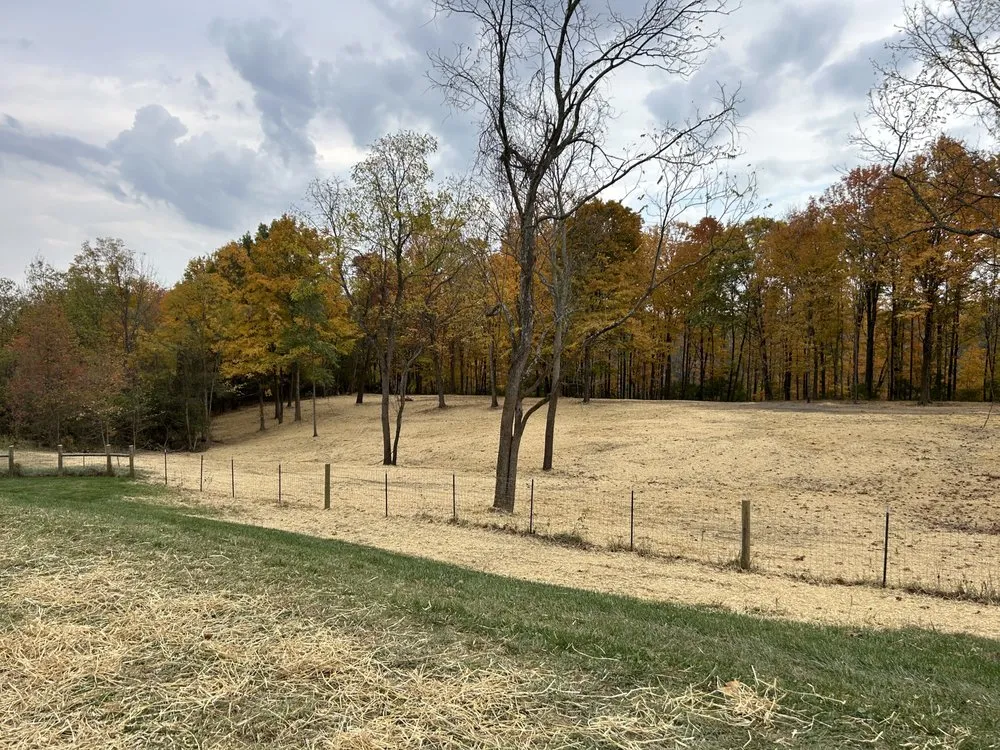 Top-rated lawn mowing service for outdoor upgrades in Cincinnati, OH by Buffalo Scapes