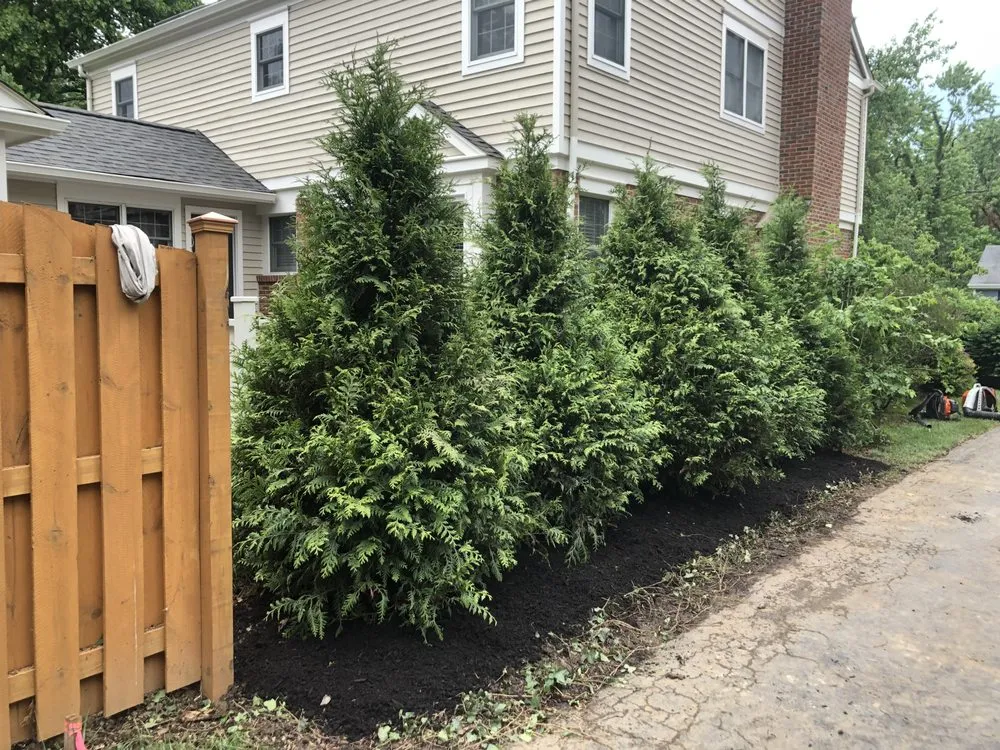 Professional landscaping services near you across Cincinnati, OH - Buffalo Scapes