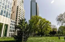 Trusted lawn care service in Buffalo, NY - Buffalo Snowplowing & Lawn Care