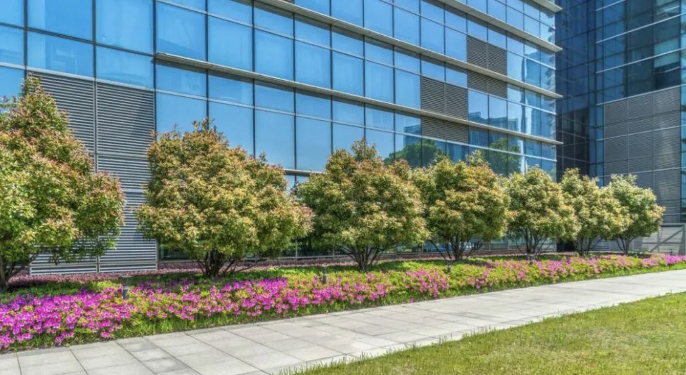 Expert yard cleanup service for outdoor upgrades across Buffalo, NY - Buffalo Snowplowing & Lawn Care