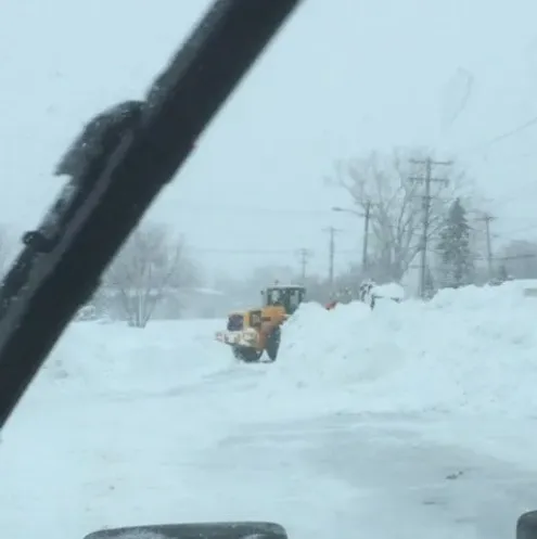 Top-rated landscaping services experts serving Buffalo, NY - Buffalo Snowplowing & Lawn Care