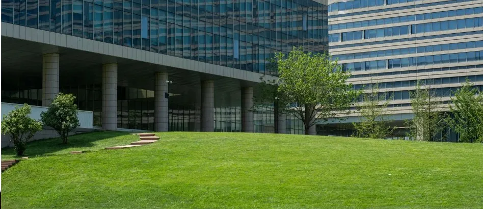 Professional lawn care service for outdoor upgrades in Buffalo, NY by Buffalo Snowplowing & Lawn Care