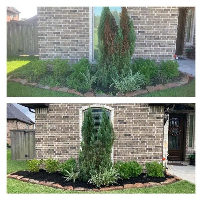 Expert landscaping services for beautiful yards in Navasota, TX by Buffalo Springs Creations