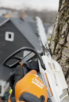 Buffalo Tree Soldiers Logo