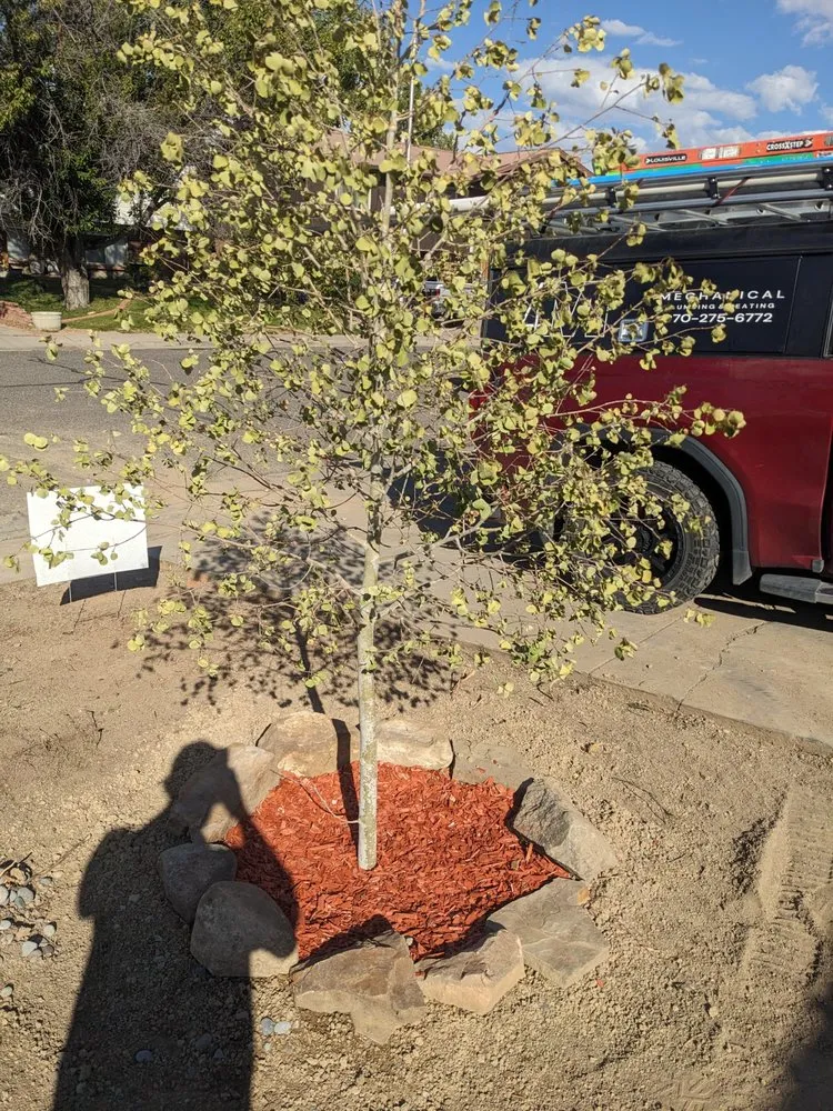 Affordable landscaping services for year-round maintenance across Battlement Mesa, CO - Buffalo's Construction & Landscaping