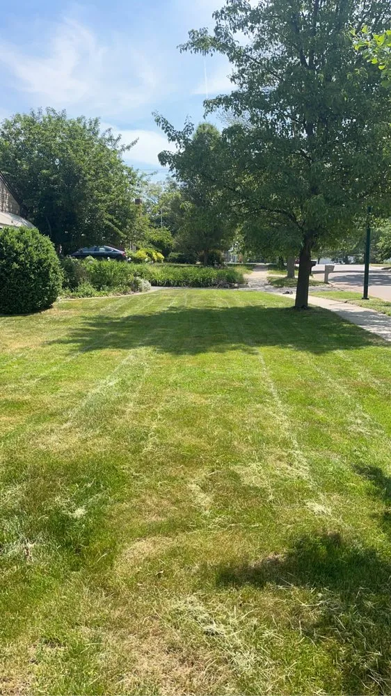 Trusted lawn care service for beautiful yards across Marshall, MI - Buffington Lawn