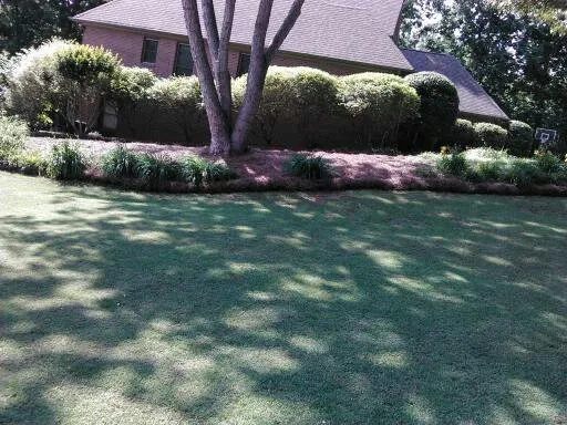 Top-rated landscape design experts serving Buford, GA - Buford Lawncare Service