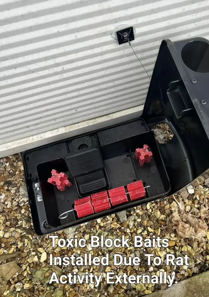 Professional landscaping services near you across Cape Saint Claire, MD - Bug Busters