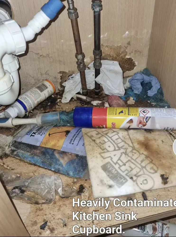 Professional landscape design in Cape Saint Claire, MD - Bug Busters