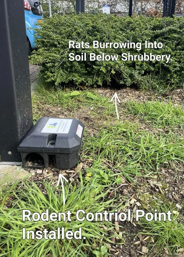 Top-rated lawn care service in Cape Saint Claire, MD - Bug Busters