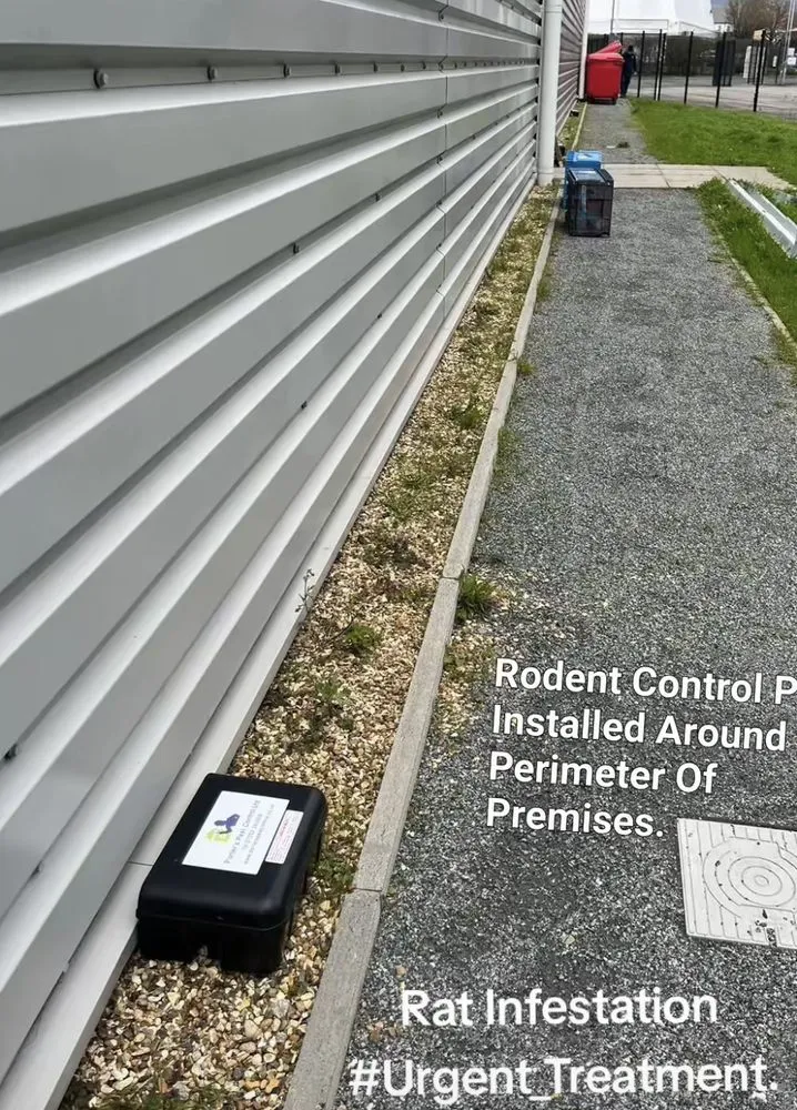 Custom lawn mowing service experts serving Cape Saint Claire, MD - Bug Busters