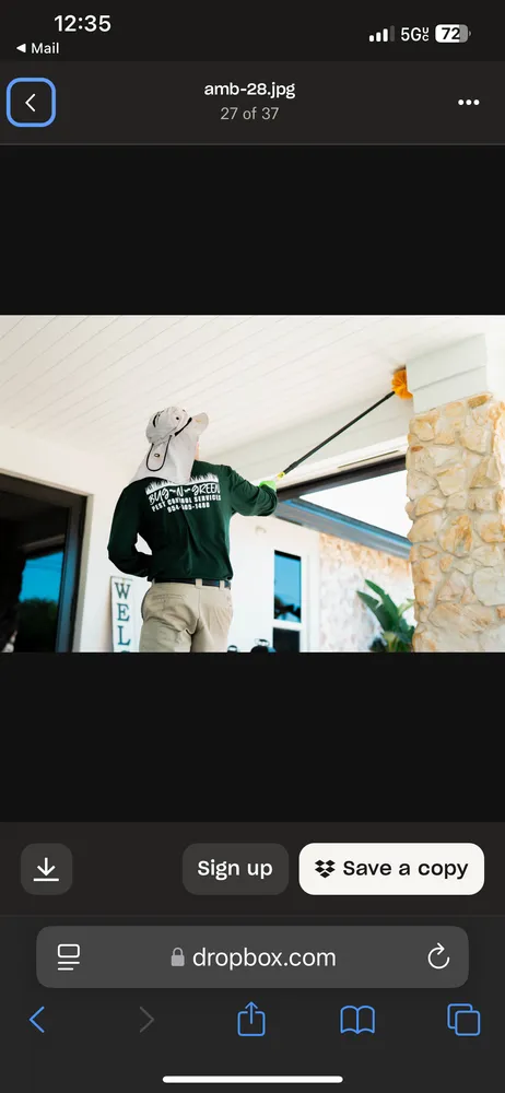 Affordable yard cleanup service for outdoor upgrades in Hollywood, FL by Bug-N-Green