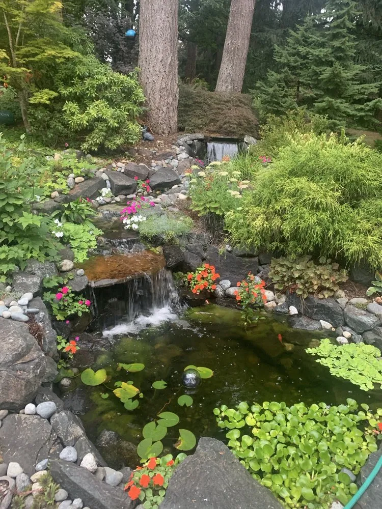 Professional landscape installation experts serving Redmond, WA - Bugallo Property Development