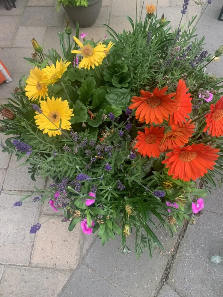 Custom landscape design in Redmond, WA - Bugallo Property Development