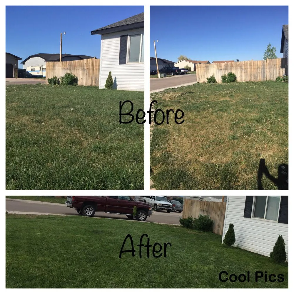 Trusted yard cleanup service in Roosevelt, UT - Buggers