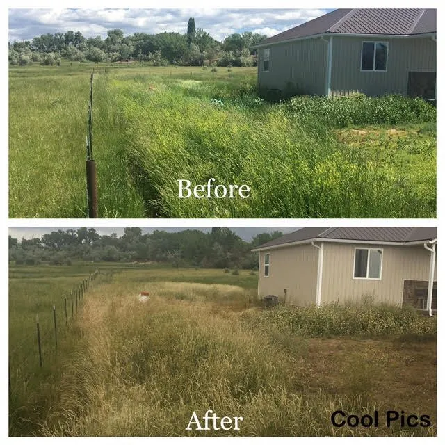 Custom yard cleanup service in Roosevelt, UT by Buggers