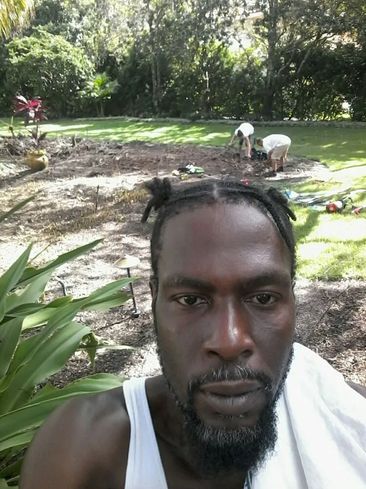 Affordable residential landscaping experts serving Tampa, FL - Buggslawncare