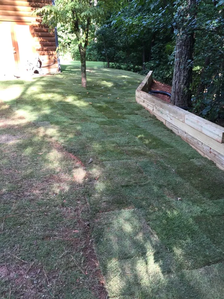 Expert lawn care service with custom design in Douglasville, GA by BuGLe Lawn & Landscape Design
