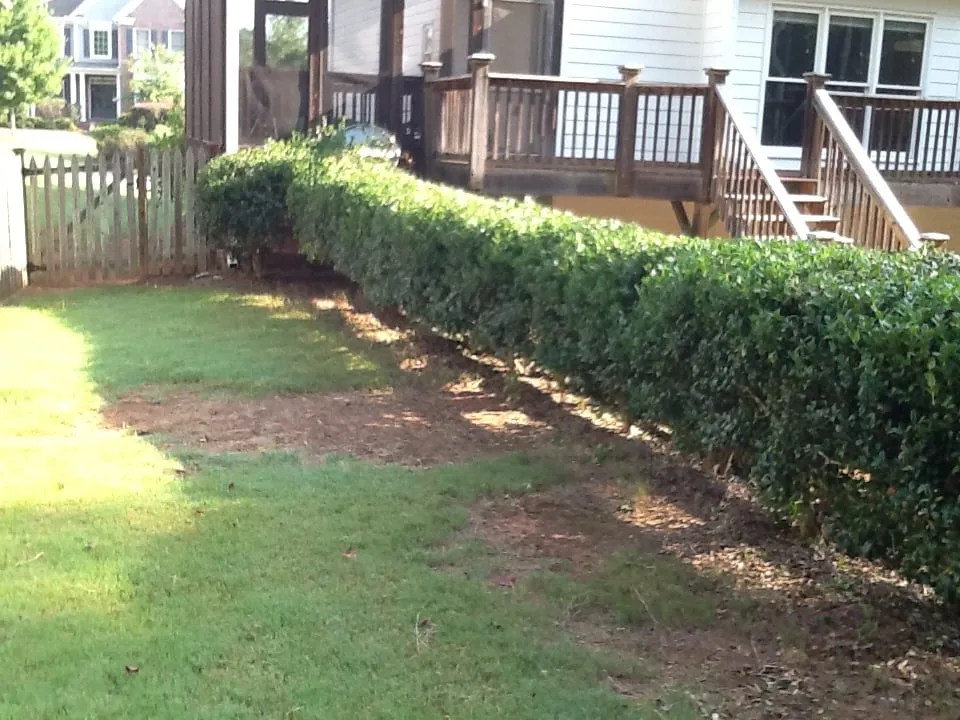 Trusted landscaping services in Douglasville, GA - BuGLe Lawn & Landscape Design