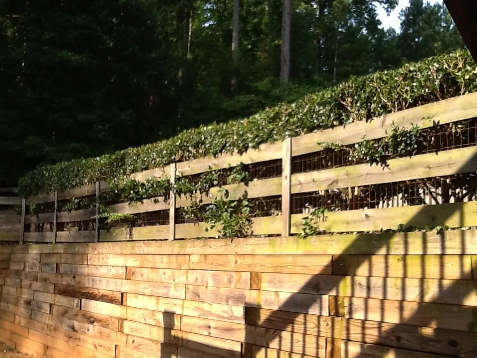 Custom yard cleanup service in Douglasville, GA by BuGLe Lawn & Landscape Design