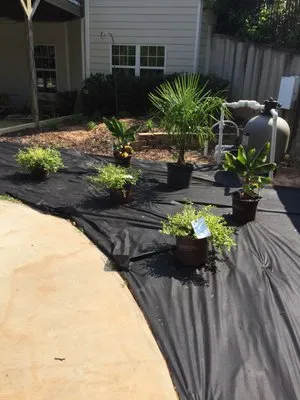 BuGLe Lawn & Landscape Design Logo