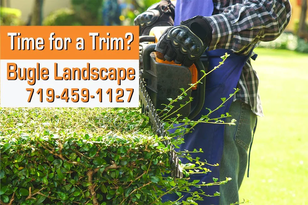 Reliable yard cleanup service experts serving Colorado Springs, CO - Bugle Lawn & Landscape, Inc