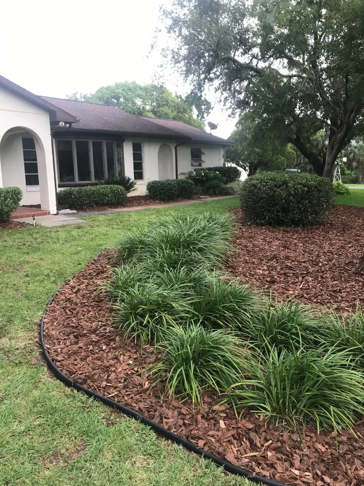 Trusted yard maintenance experts serving Sebring, FL - Bugs Bee-Ware Exterminating