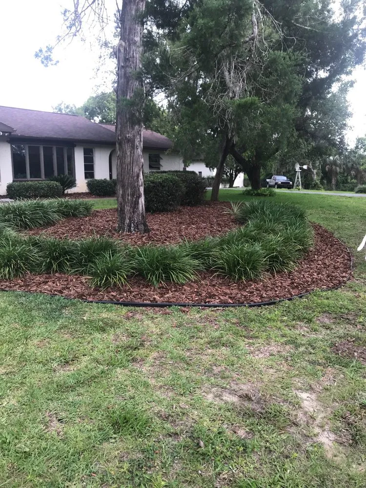 Professional outdoor landscaping with custom design in Sebring, FL by Bugs Bee-Ware Exterminating