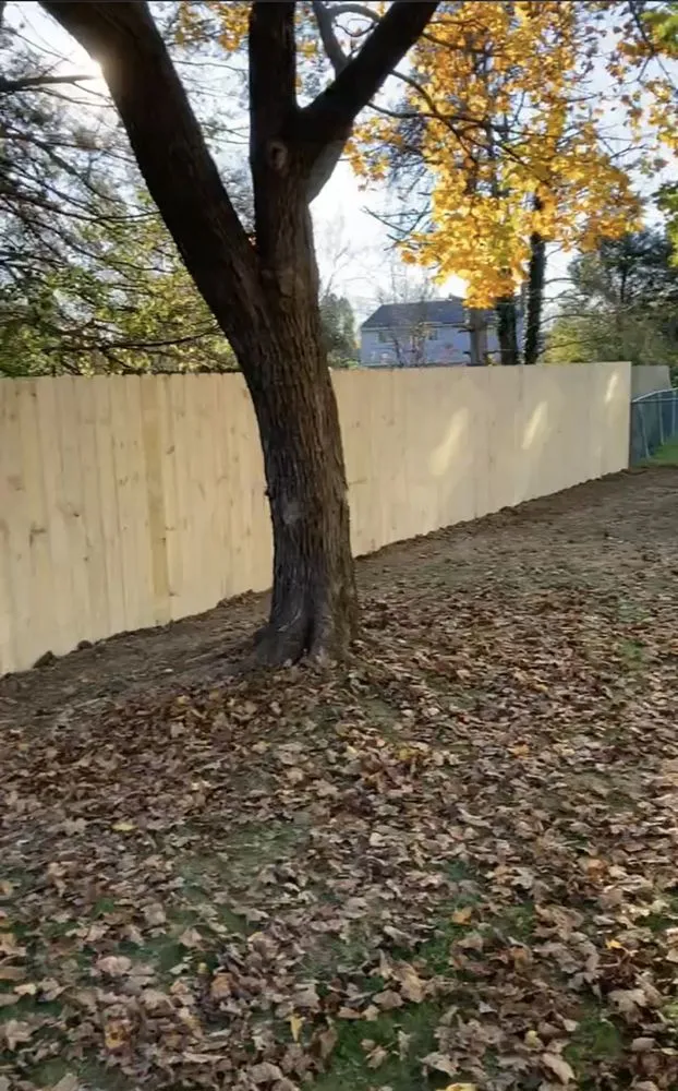 Top-rated residential landscaping for outdoor upgrades across Bear, DE - Bugs Fence and Design