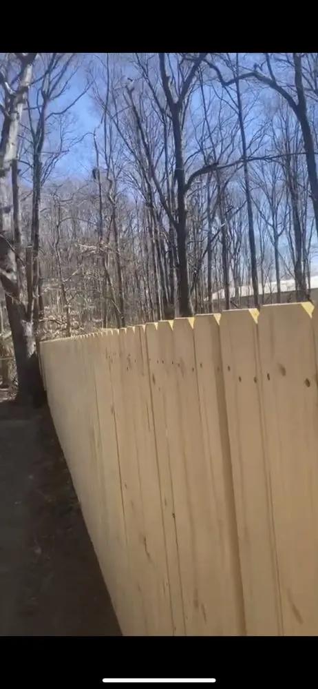 Trusted yard cleanup service in Bear, DE by Bugs Fence and Design