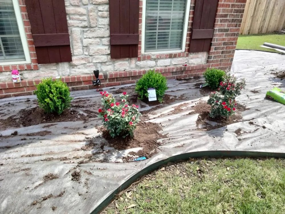 Professional yard cleanup service experts serving Bartlesville, OK - Bugs Landscaping And Lawncare
