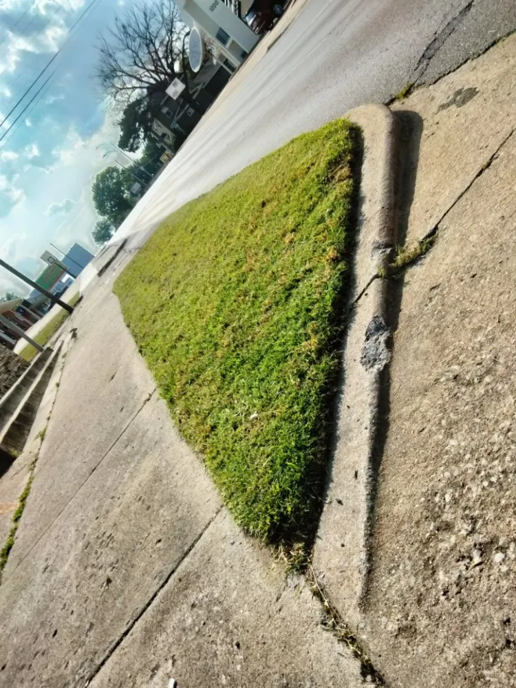 Reliable lawn care service in Bartlesville, OK - Bugs Landscaping And Lawncare