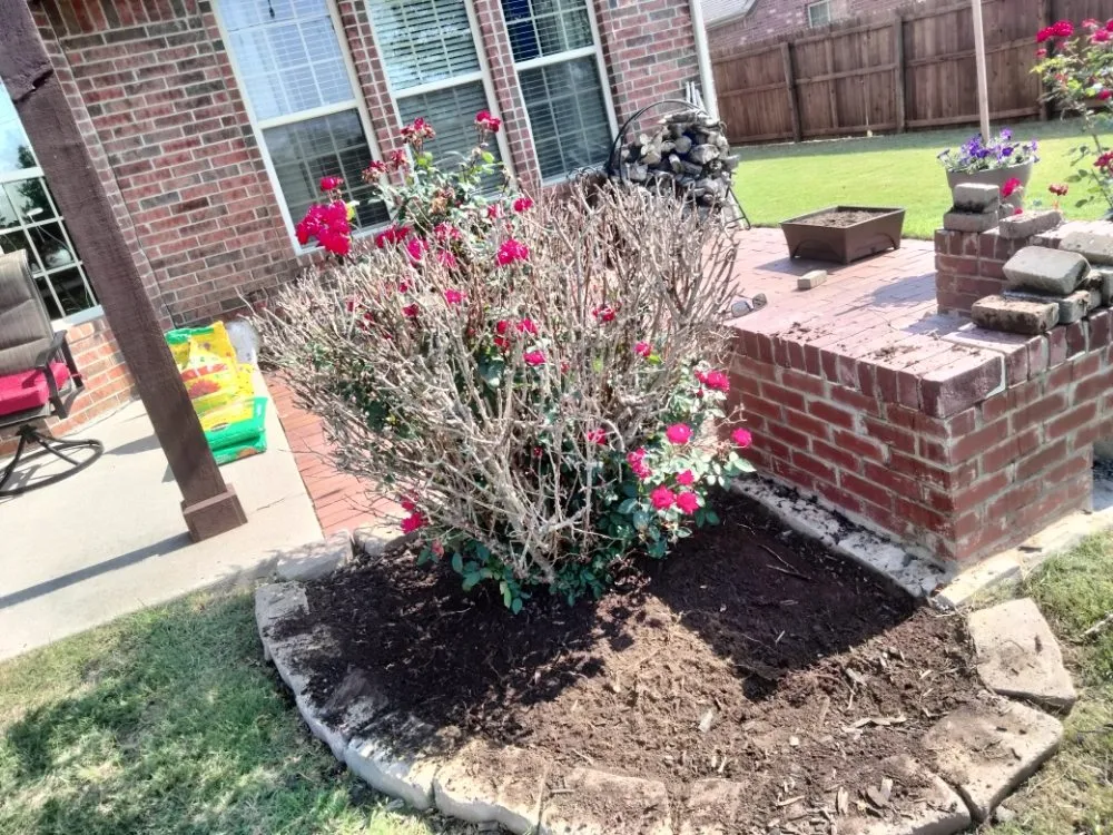 Local lawn mowing service in Bartlesville, OK - Bugs Landscaping And Lawncare