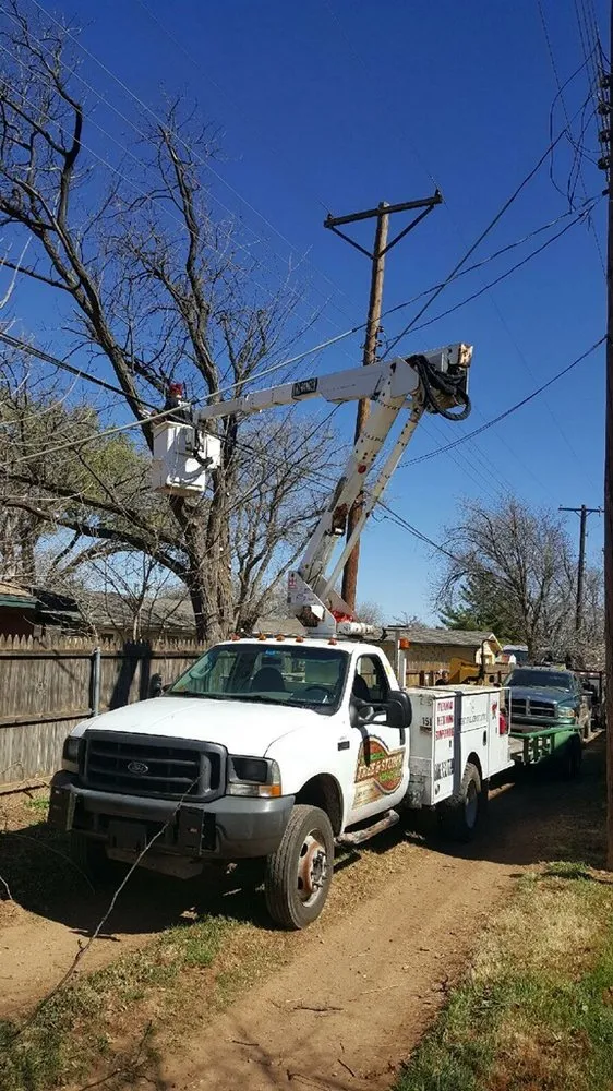 Reliable landscape installation experts serving Amarillo, TX - Bugs On Me Tree Service