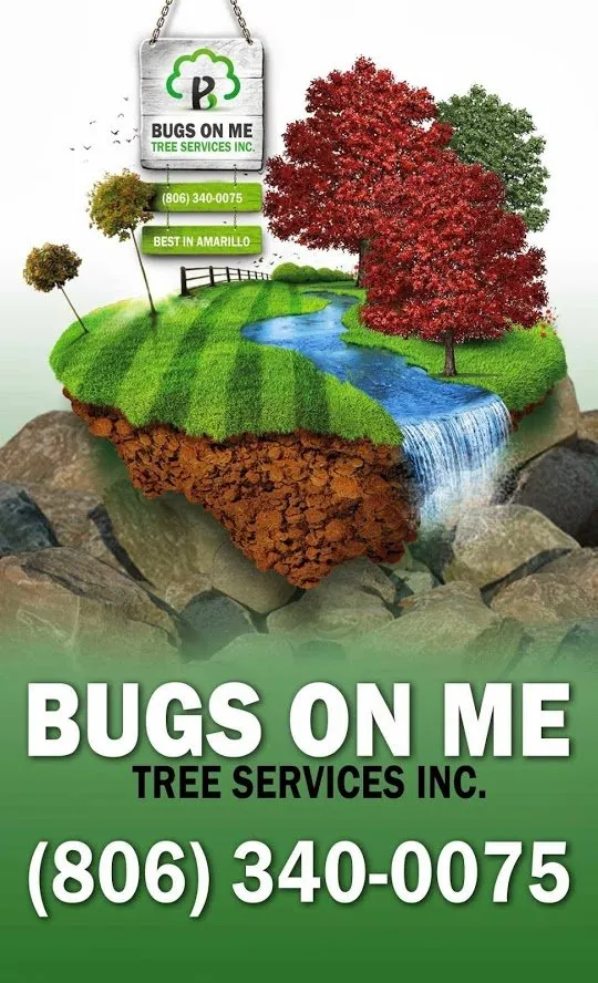 Local landscaping services in Amarillo, TX - Bugs On Me Tree Service