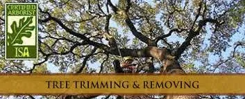 Affordable landscape installation for residential properties in Amarillo, TX by Bugs On Me Tree Service