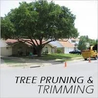 Custom landscape installation in Amarillo, TX - Bugs On Me Tree Service