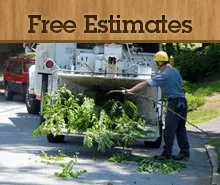 Expert landscape installation near you across Amarillo, TX - Bugs On Me Tree Service