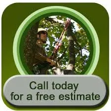 Expert lawn mowing service for outdoor upgrades in Amarillo, TX by Bugs On Me Tree Service