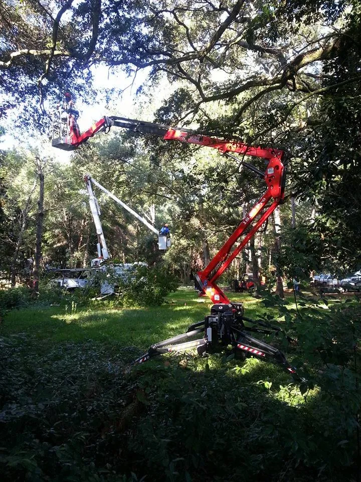 Reliable lawn care service in Amarillo, TX - Bugs On Me Tree Service