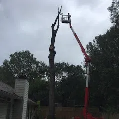 Top-rated landscape installation for year-round maintenance in Amarillo, TX by Bugs On Me Tree Service