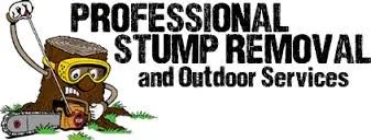 Professional yard cleanup service in Amarillo, TX - Bugs On Me Tree Service
