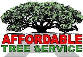 Affordable garden landscaping in Amarillo, TX by Bugs On Me Tree Service