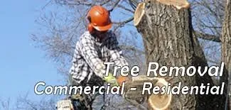 Local landscaping services experts serving Amarillo, TX - Bugs On Me Tree Service