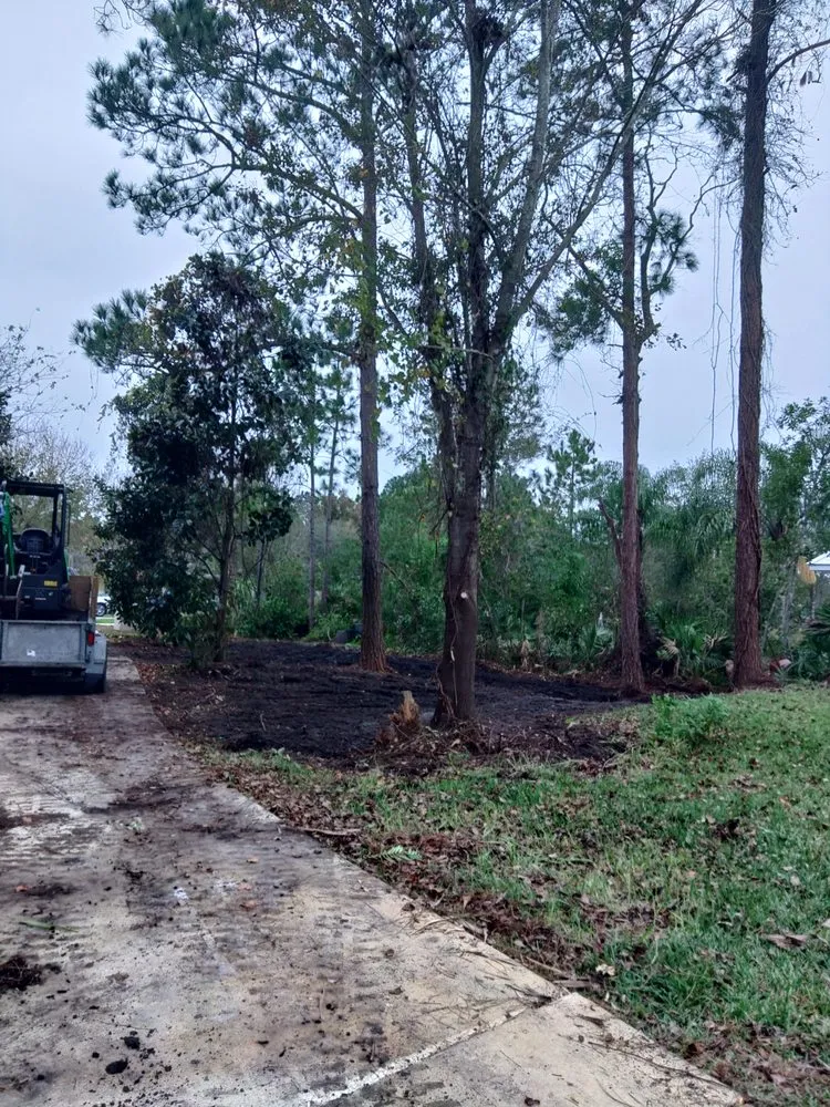 Professional landscape design in St Augustine, FL by Bug's Tree Trimming & Land Clearing